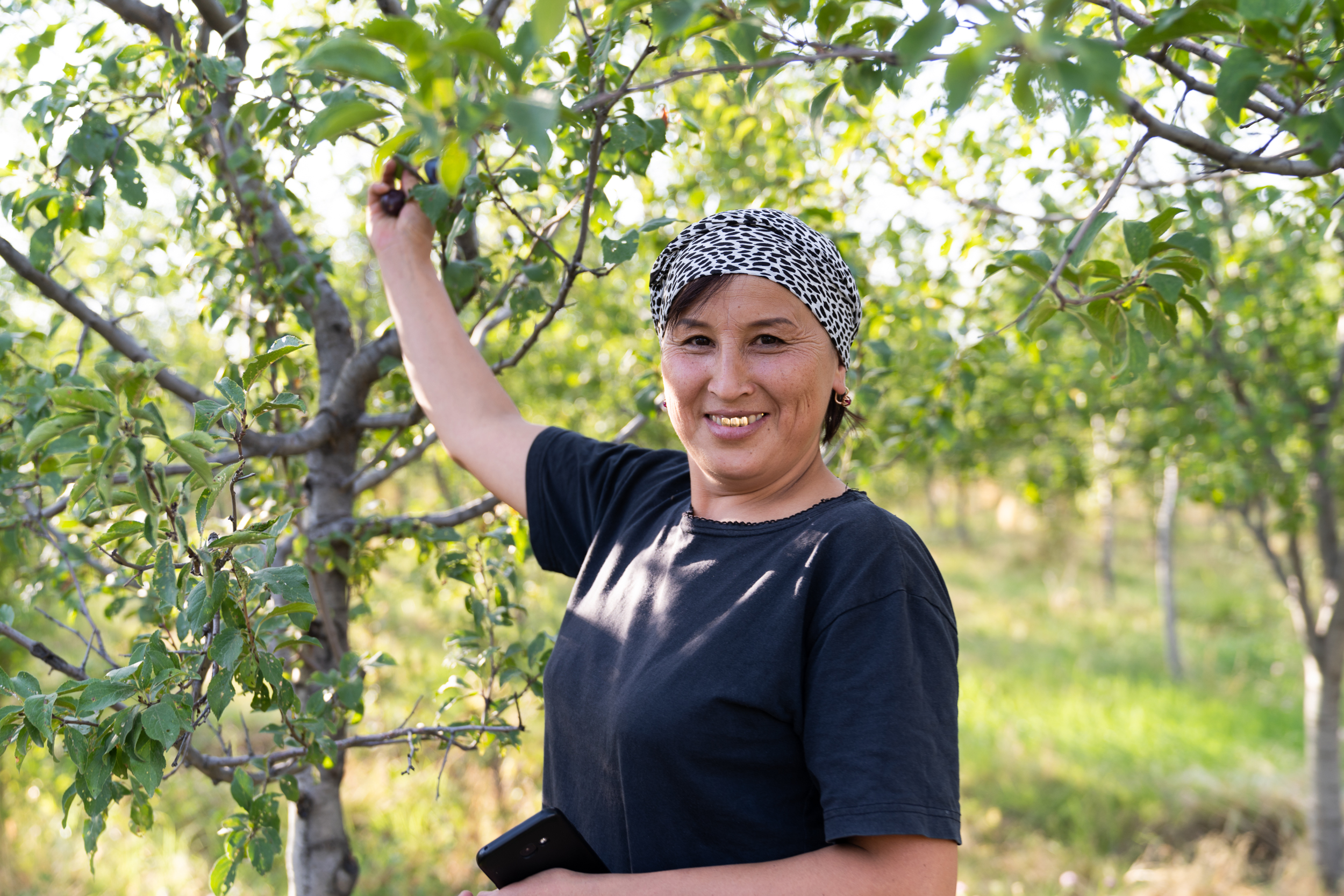 Plum Business Jalalabad