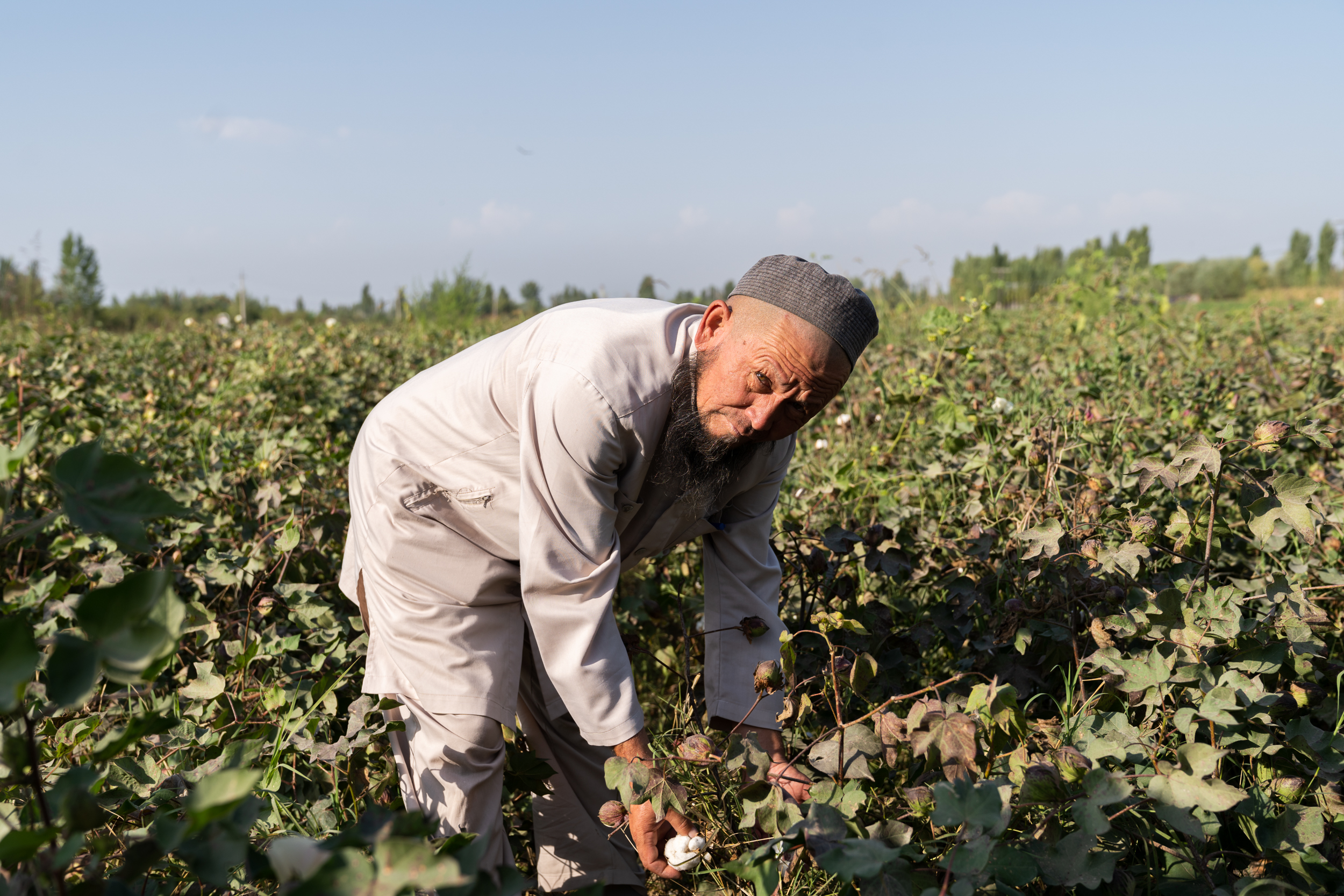 Karimkol's Nursery 2