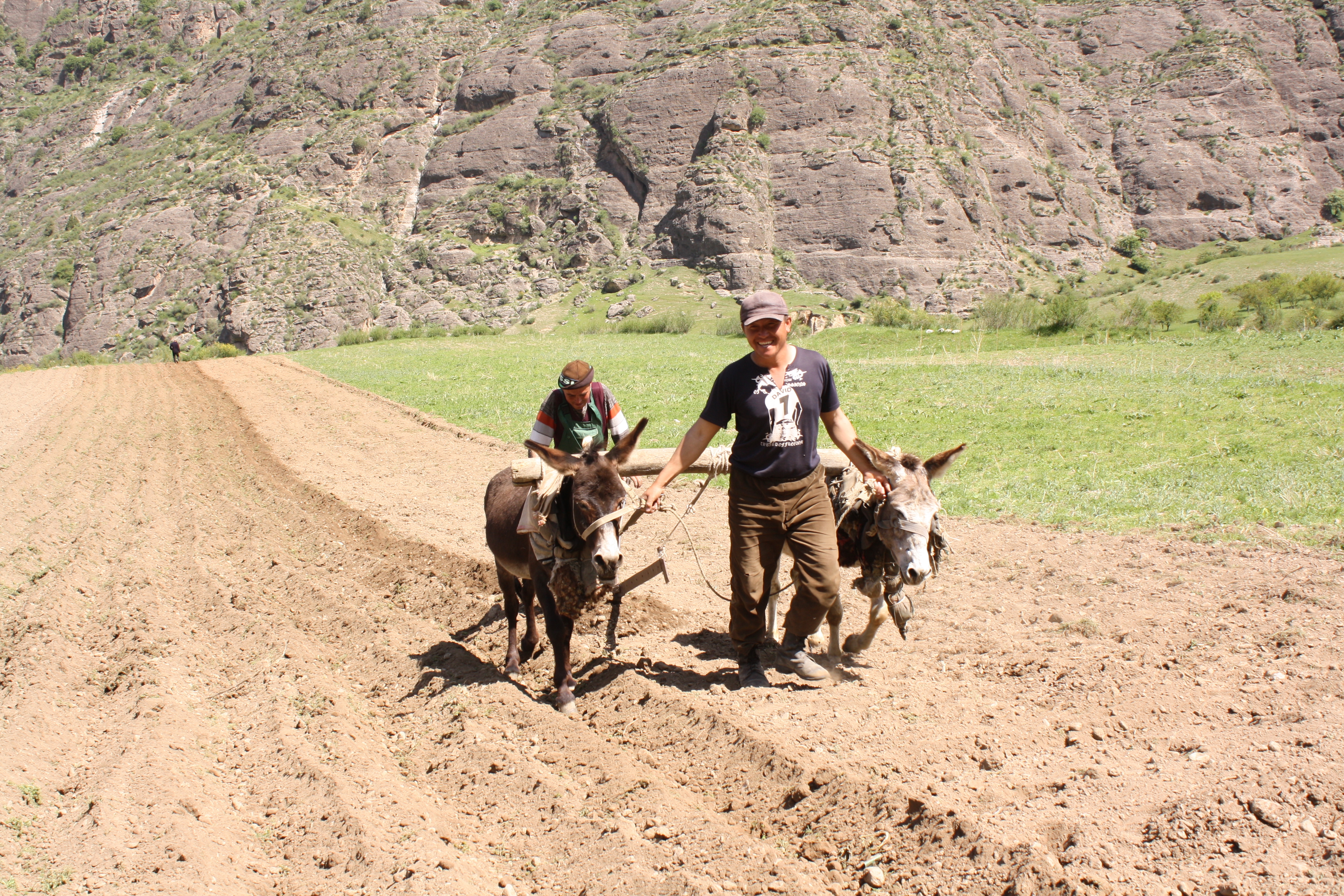 We See Law Mechanization Of The Agricuture, And For Migrant Family Labour Shortage Is Actual Problem