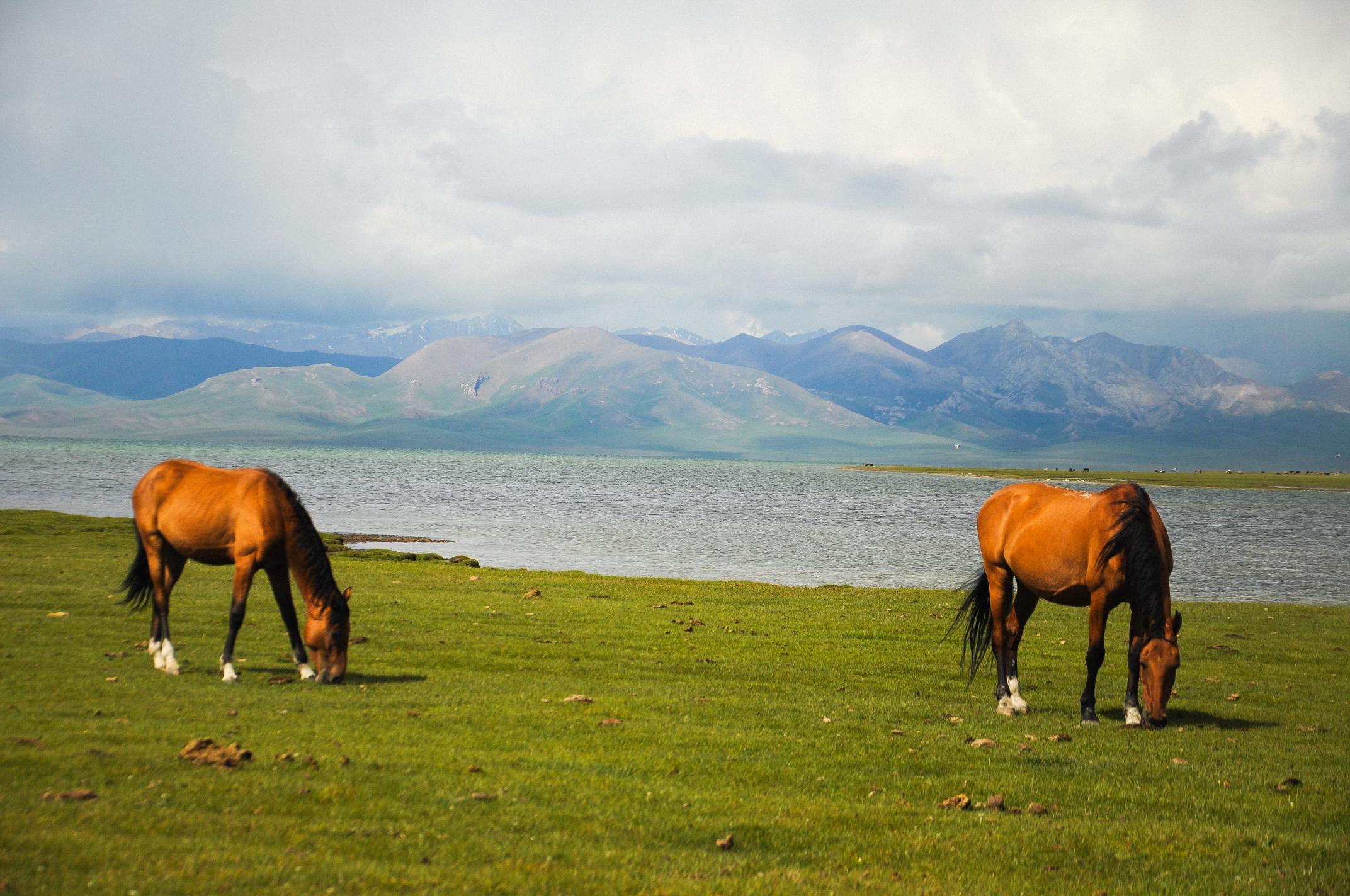 Microsoftteams Image (3)