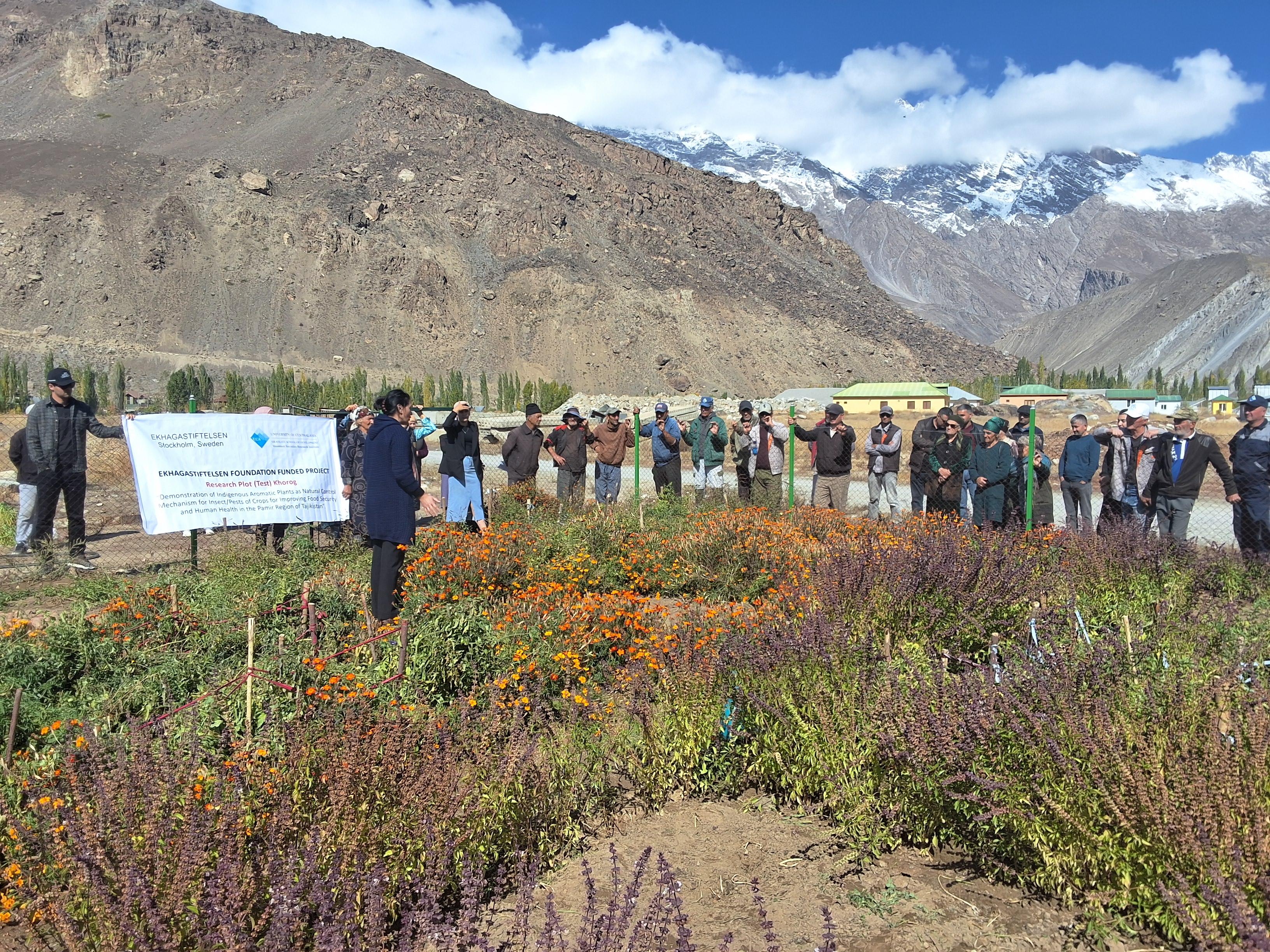 Farmer's Field Day Vanj Research Plot