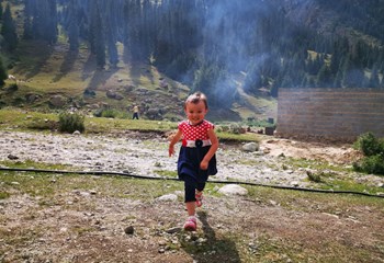 Global Exemplars In Stunting Reductio